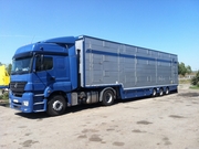 ООО «Обрий-V» осуществляет перевозки животных