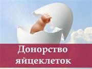 Шукаємо сурогатних мам та донорів яйцеклітин у клініку репродуктивної 