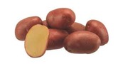 Продам картофель посевной 1 репродукции.